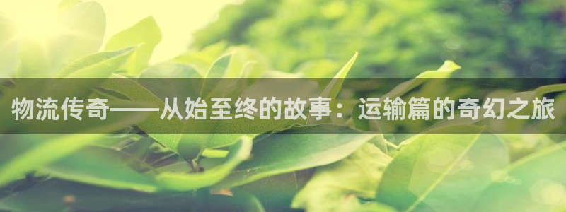 谈球吧在线观看