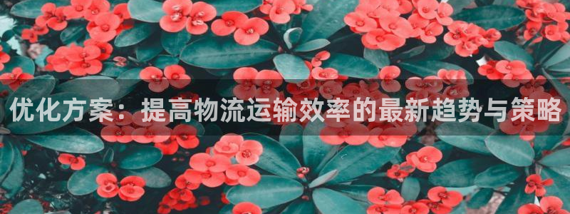 谈球吧属于哪个旗下的品牌