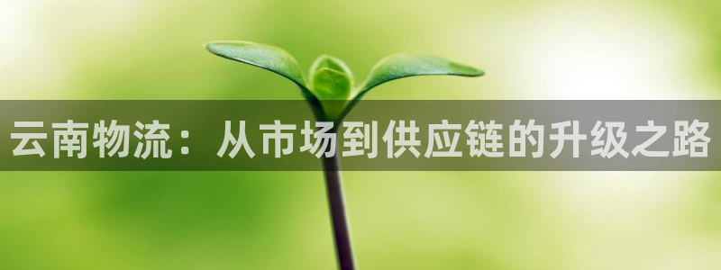 谈球吧全站app下载手机版
