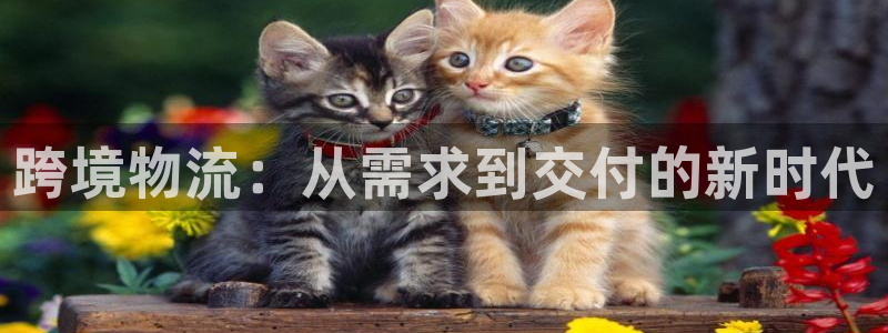 谈球吧体育ios下载