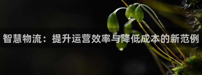 谈球吧官方网站
